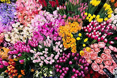 真人互动小说《失业了，我获得了亿万游戏财产！》Steam页面上线 发售日待定